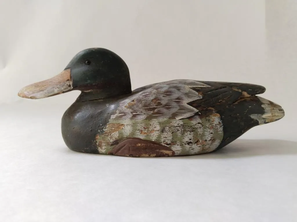 This is a Wooden Duck Decoy. The decoy is crafted from wood and exhibits signs of age and wear, including cracks and chipped paint, which add to its antique charm. The paint features muted colors that resemble the natural plumage of a duck. The eyes are made of glass, indicating high-quality craftsmanship. This decoy also has a bullet hole on one side, further attesting to its history and authenticity.